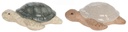 393567-1.jpg