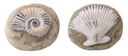 391761-1.jpg