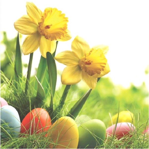 [67995] SERV.33X33CM 20ER, OSTERN