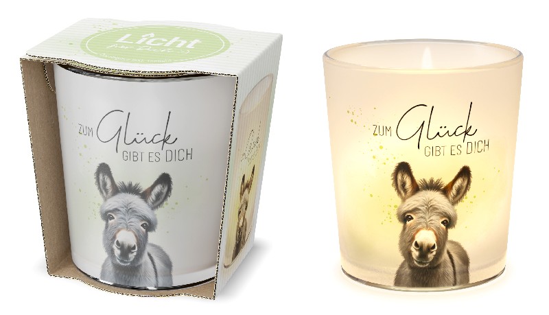 [542212] WINDLICHTGLAS,ESEL