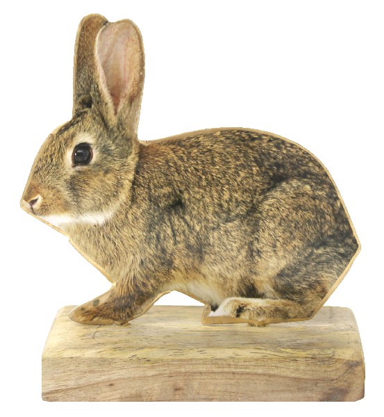 MET. HASE AUF HOLZBASIS
