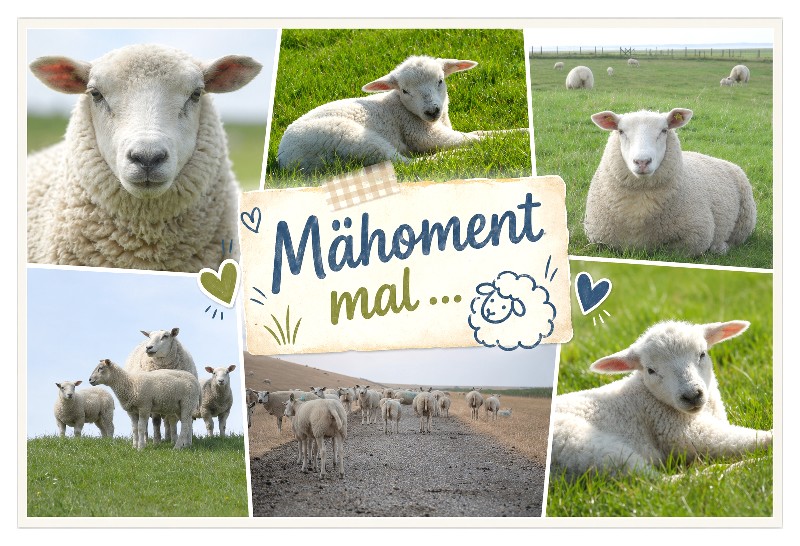 [383808] MAGN.MÄHOMENTMAL,6BILDER