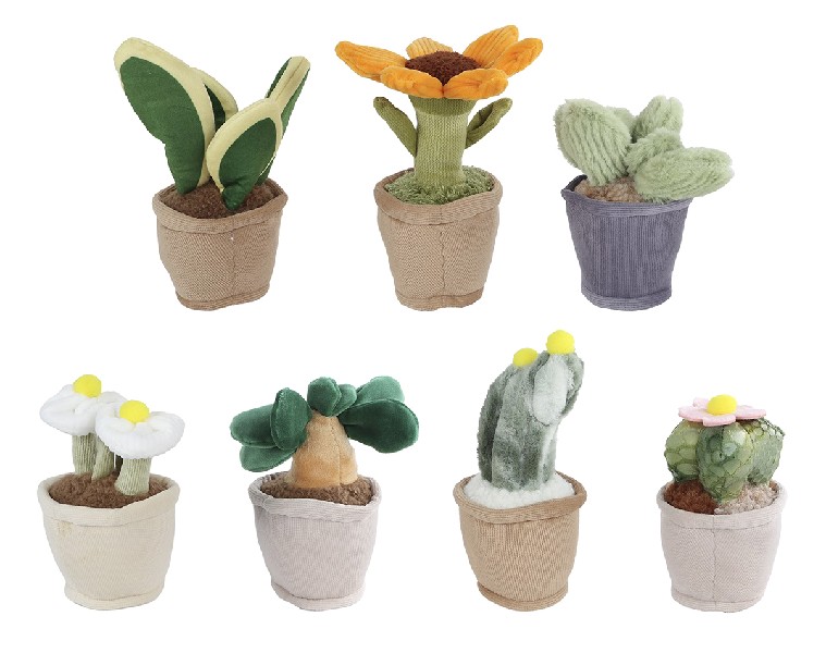 PL.BLUMEN,7FA.12-17CM,I.D
