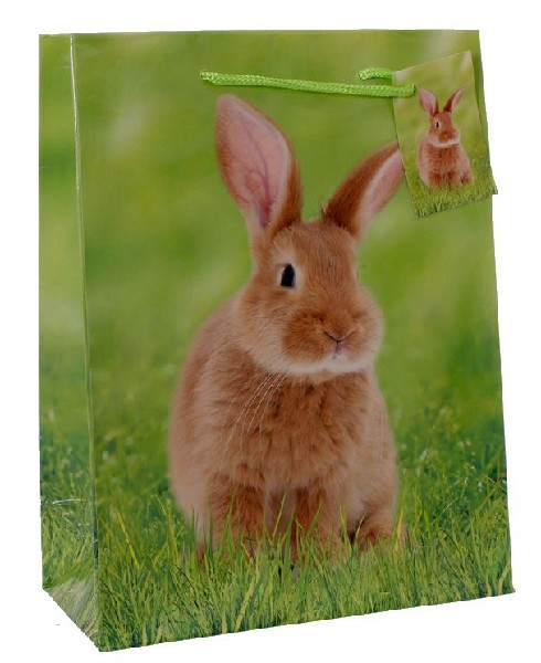 T.T.OSTERN 18X8X23CM HASE