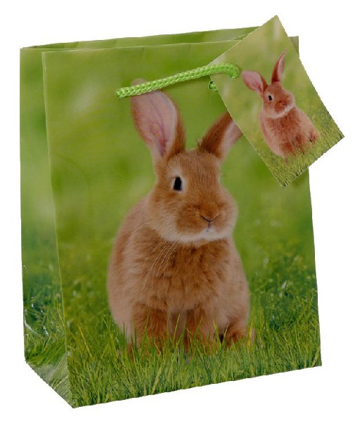 T.T.OSTERN 11X6X13,5 HASE