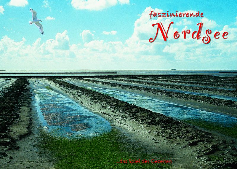 AK.NORDSEE           9012