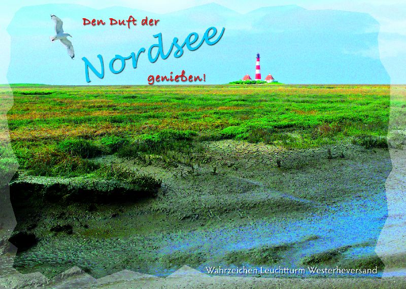 AK.NORDSEE           9013