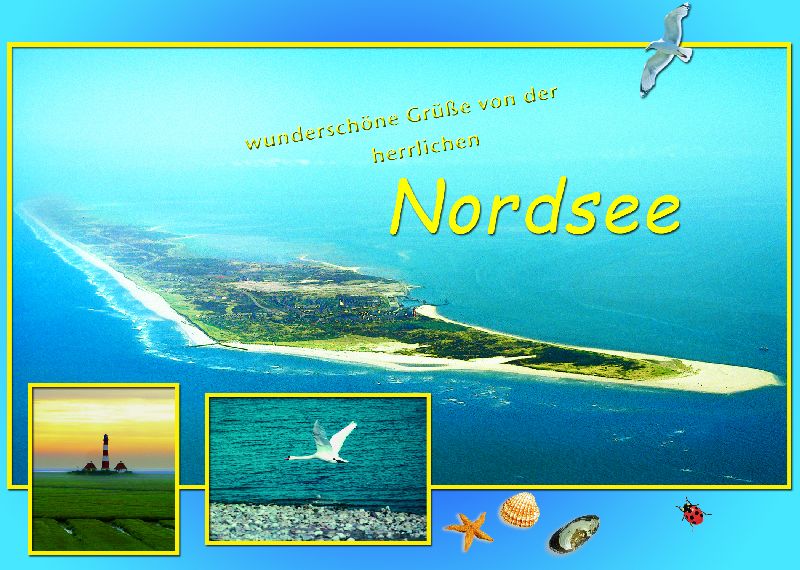 AK.NORDSEE           9016