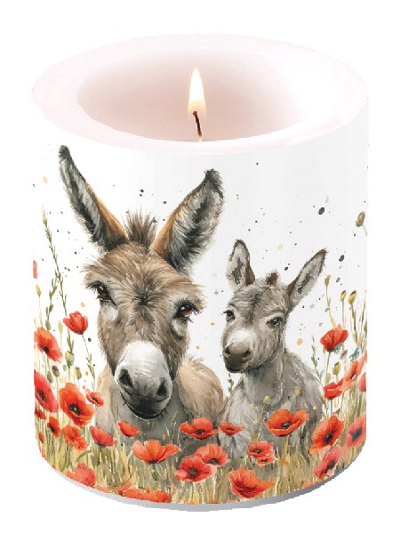 W-LI-KERZE MITTEL ESEL