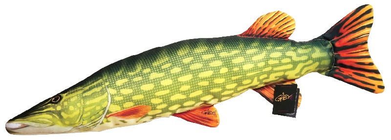 PL.HECHT,CA. 80CM