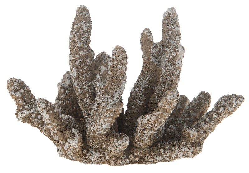 KORALLE,POLY.,TAUPE,16CM