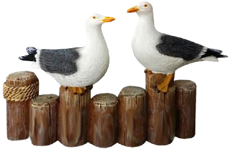 MÖWEN,2,POLLERREIHE