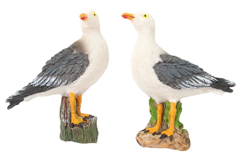 MAG.MÖWE,CA.7CM,G/W,2FA.