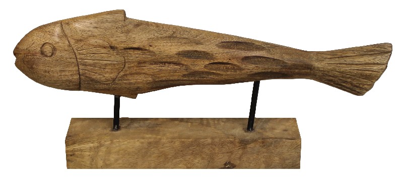 FISCH A.BASIS,38X16X3CM