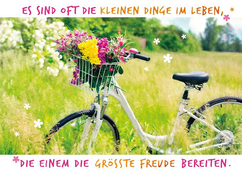 POSTKARTE FAHRRAD/WIESE