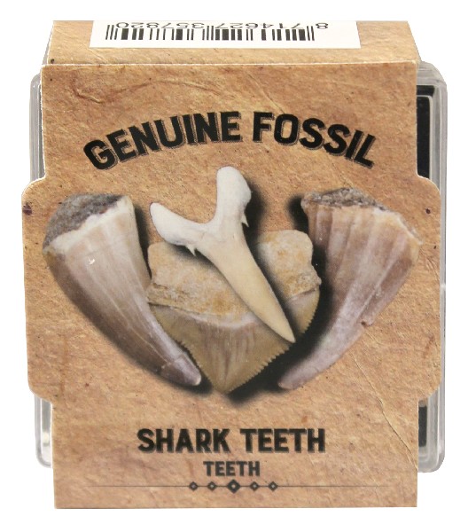 FOSSIL,4ER SET, IN BOX