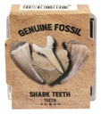 FOSSIL,4ER SET, IN BOX