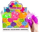 PUFFERB.FACE,14CM,6FA.I.D