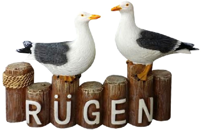 MÖWEN,2,POLLERREIHE,RÜGEN