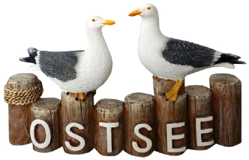MÖWEN,2,POLLERREI.,OSTSEE