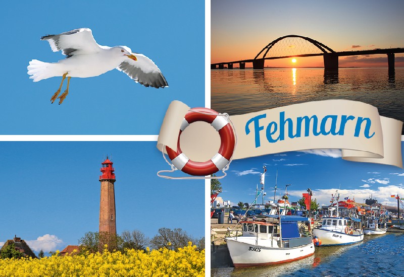MAGN.FEHMARN 4TLG.