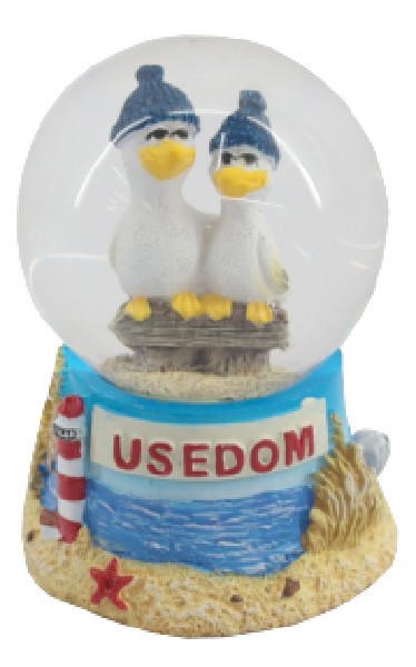 SK.MÖWE, CRAZY    USEDOM