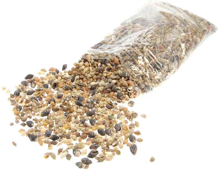 MUSCHELWARE 1CM, 1 KILO