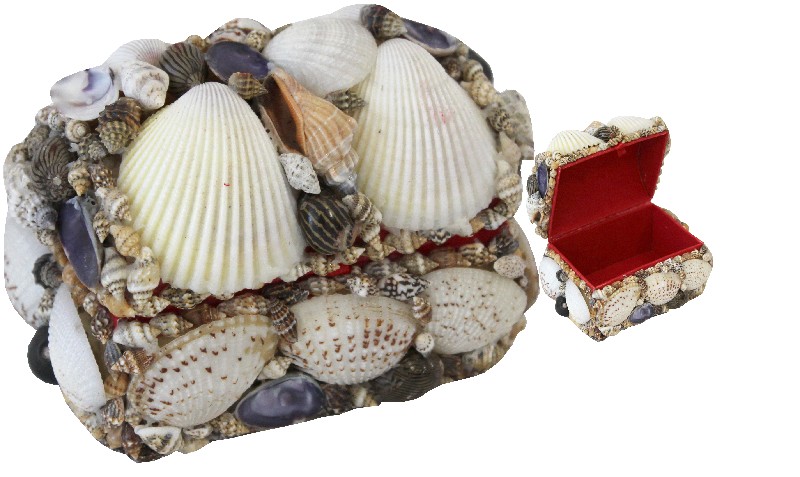MUSCHELSCHATZTRUHE KLEIN
