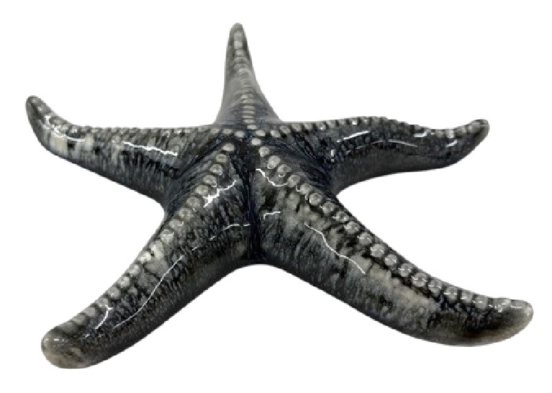 SEESTERN,GRAU,20X16,5X3CM