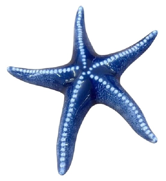SEESTERN,BLAU,20X16,5X3CM