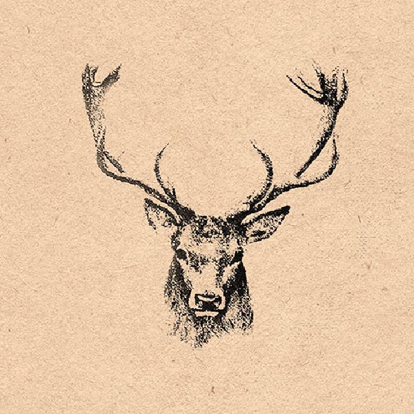 SERV.33X33CM,20ER,AMBIENT