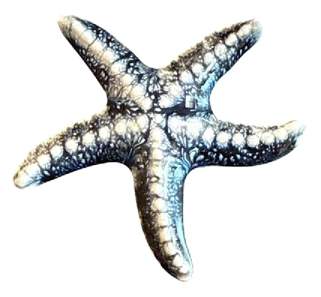 SEESTERN,GRAU 7X6,5X1CM