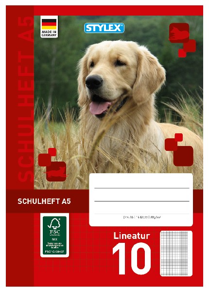 SCHULHEFT A5 LINEATUR 10