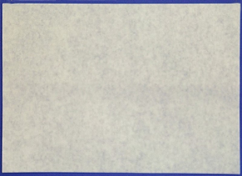 PERG.ERSATZ 49G 1/8 BG.