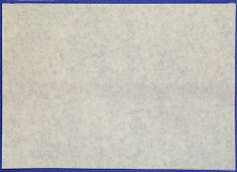 PERG.ERSATZ 49G 1/4 BG.