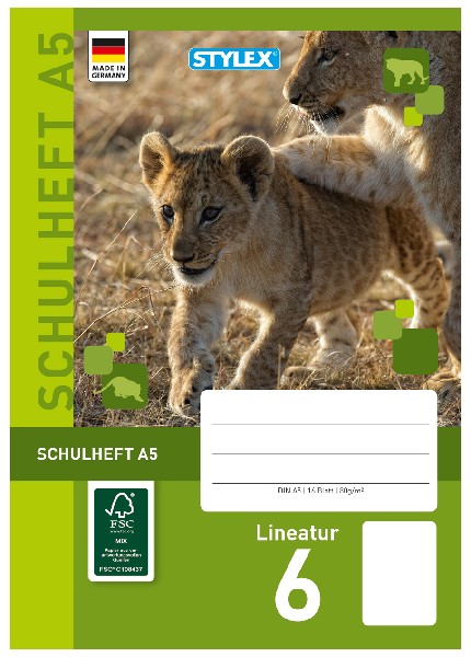 SCHULHEFT A5 LINEATUR 6