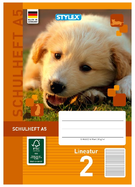 SCHULHEFT A5 LINEATUR 2