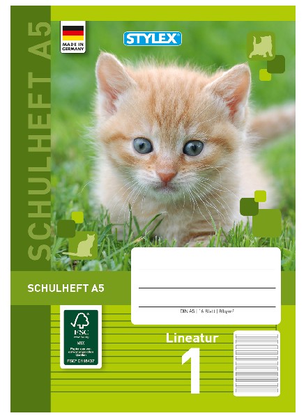 SCHULHEFT A5 LINEATUR 1