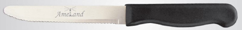 [850032] MESSER 23CM, M.LASERUNG
