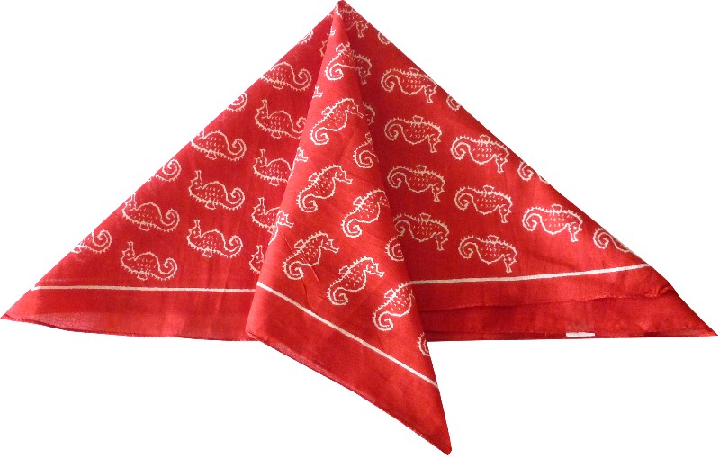 N-T.SEEPFERD/ROT    50CM