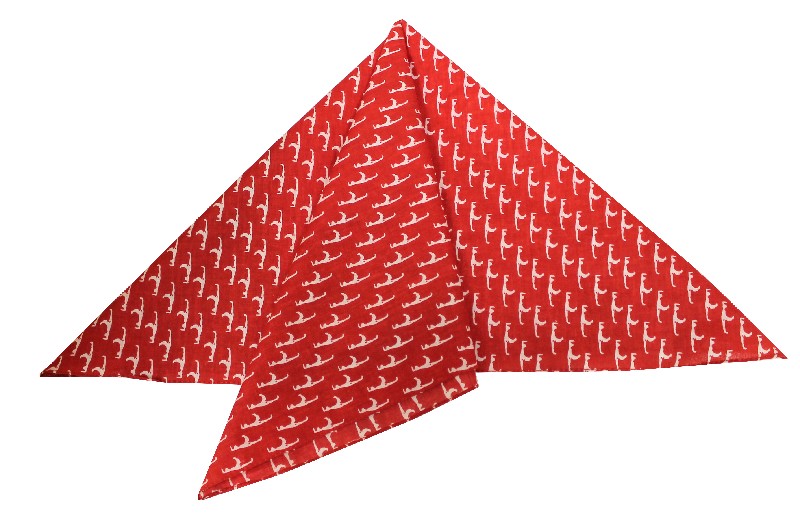 N-T.SYLT/ROT        50CM