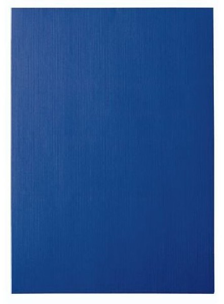 BINDING COVERS 25X250G A4