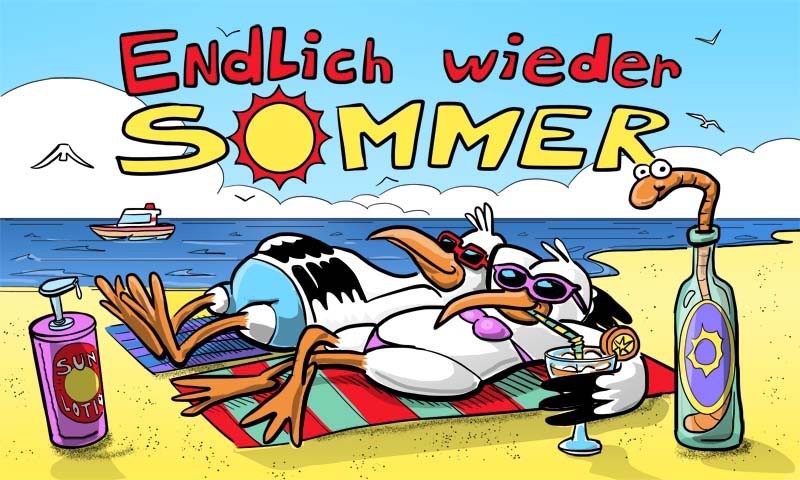 H-FL.SOMMER,2 MÖWEN90X150
