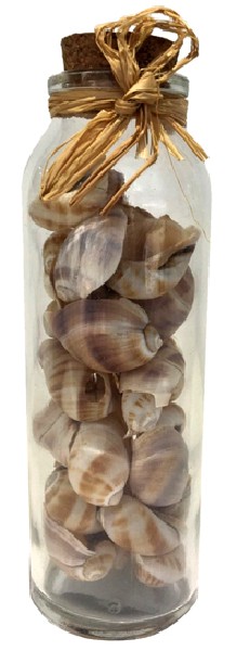 FLA.MIT MUSCHELN GEFÜLLT