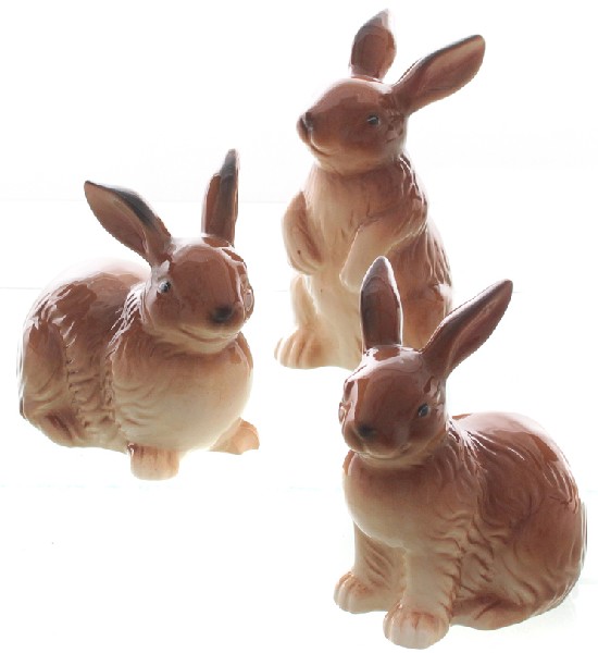 HASE BRAUN GLASIERT 3 SO.