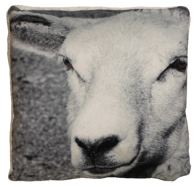 KISSEN SCHAF,43X43CM