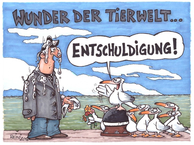 AK.COAST,ENTSCHULDIG. 133