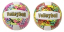 VOLLEYBALL,BUNT,3FA.M.LU.