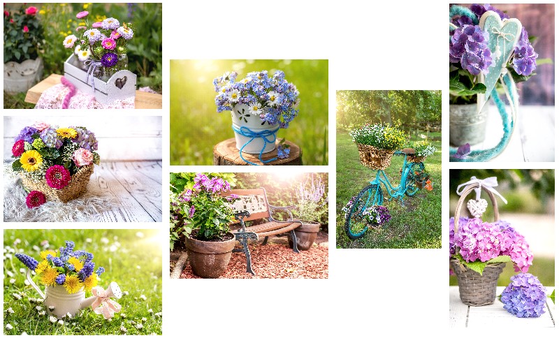 KARTE, BLUMEN O.TEXT