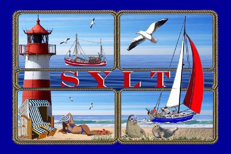 MAGN.LASER,7X5CM,SYLT